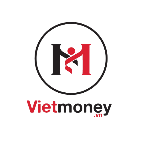 Vietmoney Logo